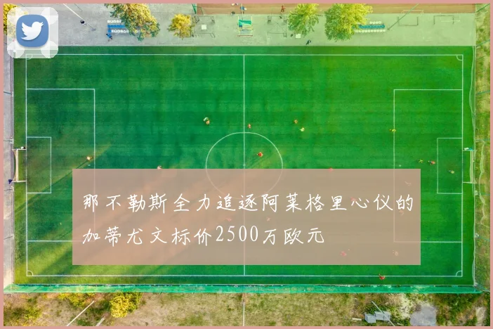 那不勒斯全力追逐阿莱格里心仪的加蒂尤文标价2500万欧元