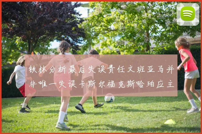铁林分析最后失误责任文班亚马并非唯一失误卡斯尔福克斯哈珀应主动接球